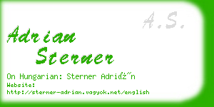 adrian sterner business card